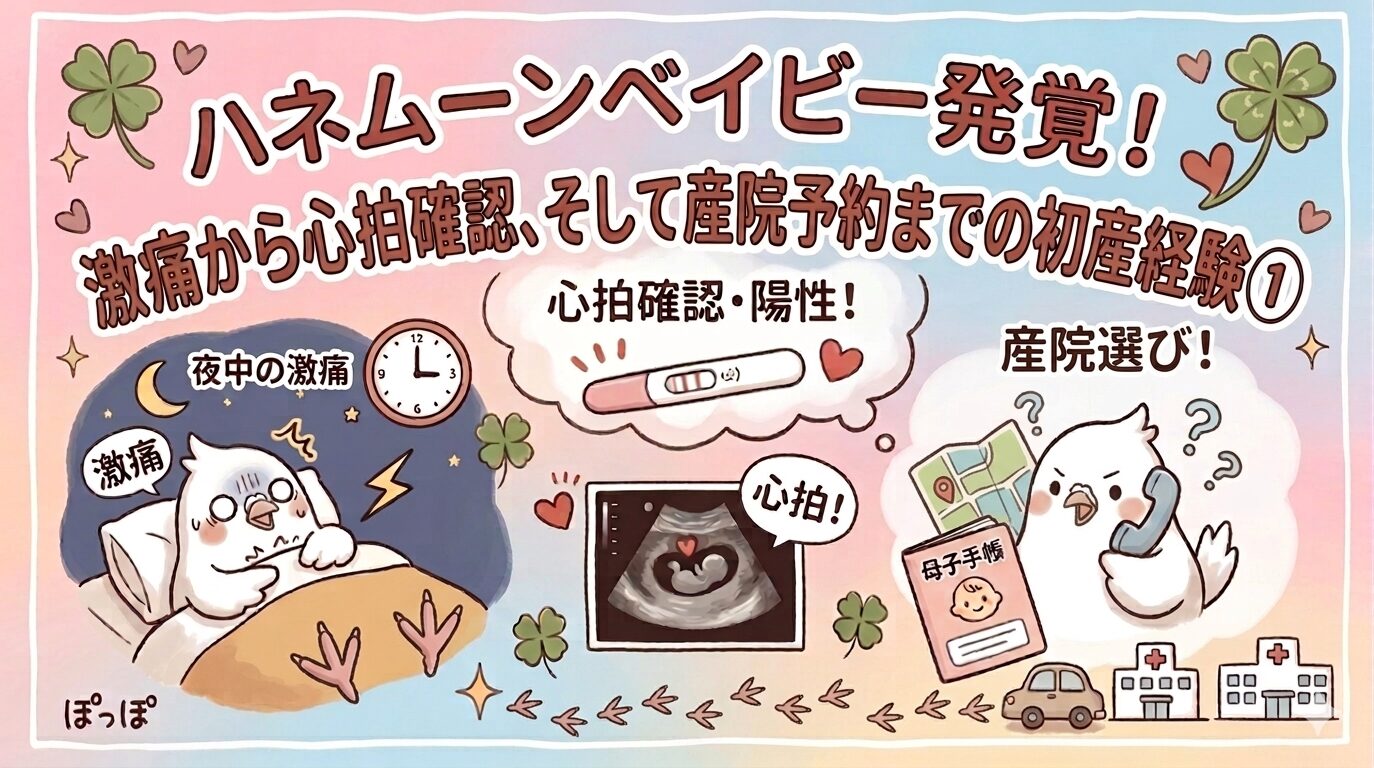 ハネムーンベイビーの発覚、夜中の激痛、心拍かくにん、産院選び